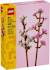 Lego botanicals - les fleurs de cerisier - 40725 Multicolore 1 - vertbaudet enfant 