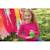 Kit Peindre votre grenouille de jardin Multicolor 4 - vertbaudet enfant 