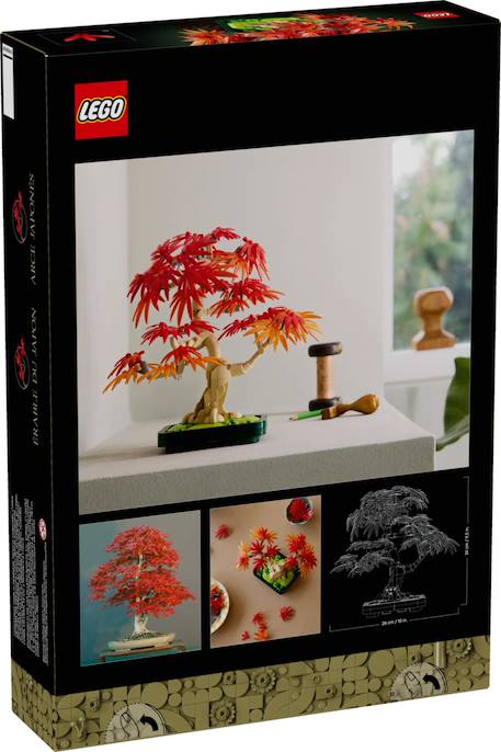 Lego icons - bonsaï d'érable rouge du japon - 10348 Multicolore 2 - vertbaudet enfant 