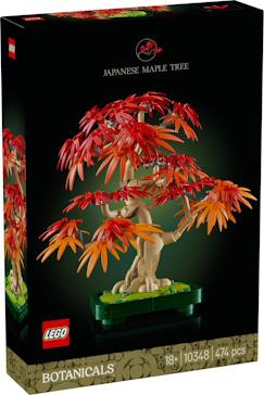 Jouet-Jeux d'imagination-Lego icons - bonsaï d'érable rouge du japon - 10348