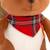 Peluche écureuil 25 cm Brown 4 - vertbaudet enfant 