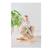 Bascule teddy l'ours beige Beige 2 - vertbaudet enfant 