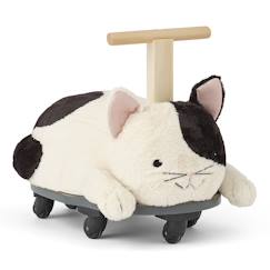 Jouet-Premier âge-Porteur sture le chat