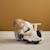 Porteur sture le chat Blanc 5 - vertbaudet enfant 