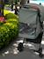 Poussette compacte avec moustiquaire screen Camel+Iguana 12 - vertbaudet enfant 