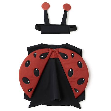Déguisement coccinelle Multi-coloured 1 - vertbaudet enfant 