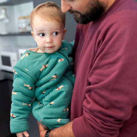 Gigoteuse jambes séparables hiver  - tog 3 pady jersey - jersey Heidi carmin+Heidi ocre+Heidi opalin+Mario biscotte+Mini lunar+Mini pudding+Mix grey+Stars shade+Wouff noisette+Wouff spinach 56 - vertbaudet enfant 