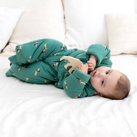 Gigoteuse jambes séparables hiver  - tog 3 cocon bien chaud Heidi carmin+Heidi ocre+Heidi opalin+Mario biscotte+Mario turquoise+Mini lunar+Mini pudding+Mix grey+Stars shade+Wouff noisette+Wouff spinach 63 - vertbaudet enfant 