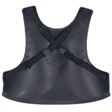 Accessoire déguisement enfant – armure de chevalier Gris 2 - vertbaudet enfant 