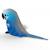 Puzzle 3d - ara de spix Blue 4 - vertbaudet enfant 