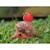 Puzzle 3d - hérisson Brown 5 - vertbaudet enfant 
