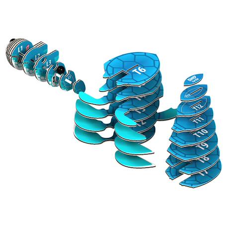 Puzzle 3d - tortue Blue 3 - vertbaudet enfant 