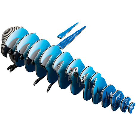 Puzzle 3d - ara de spix Blue 5 - vertbaudet enfant 