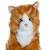 Peluche - peluche chat mimiz roux et blanc - 28 cm Orange 5 - vertbaudet enfant 