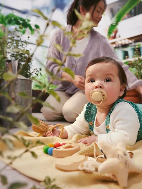 Lot de 2 sucettes ultra soft 6-18 mois forest friends vert+vert imprimé 1 - vertbaudet enfant 