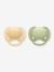 Lot de 2 sucettes ultra soft 6-18 mois forest friends vert+vert imprimé 4 - vertbaudet enfant 