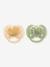 Lot de 2 sucettes ultra soft 6-18 mois forest friends vert+vert imprimé 9 - vertbaudet enfant 