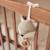 Peluche musicale fox (14 cm) Vert, blanc 4 - vertbaudet enfant 