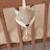 Peluche musicale fox (14 cm) Vert, blanc 3 - vertbaudet enfant 