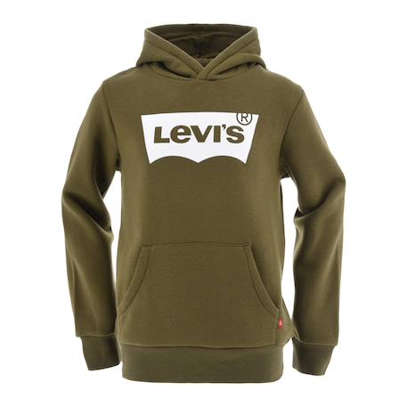 Garçon-Pull, gilet, sweat-Sweat à capuche   batwing sreenprint