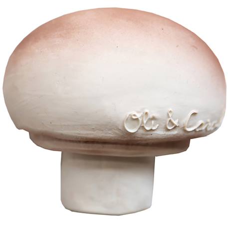 Jouet de dentition - manolo le champignon Multi-coloured 1 - vertbaudet enfant 