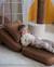 Coussin enfant carré Blueberry blue+Brown sugar+Marshmallow+Peppermint green+Pink mousse+Toffee 30 - vertbaudet enfant 