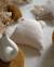 Coussin enfant ours Biscuit+Cream white+Guava+Maple+Matcha 8 - vertbaudet enfant 