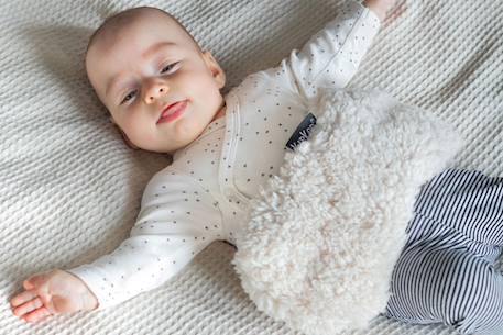 Bouillotte sèche déhoussable aux graines de lin - teddy sand Beige 2 - vertbaudet enfant 