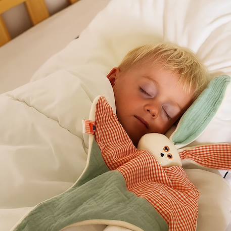 Doudou en coton bio gus Blanc 5 - vertbaudet enfant 