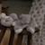 Doudou lapin gris Gris 2 - vertbaudet enfant 