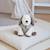 Peluche chien velours et coton sintra Beige+Vert de gris 6 - vertbaudet enfant 