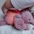 Peluche lumineuse pour enfant - George l'éléphant Vieux rose 5 - vertbaudet enfant 