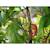 Puzzle 3d - caméléon Multicolor 5 - vertbaudet enfant 
