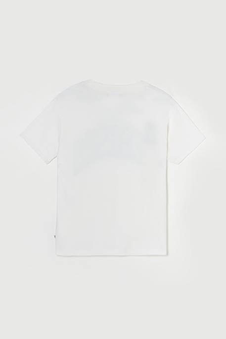 Tee-shirt claudegi Ice cream 2 - vertbaudet enfant 