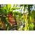 Puzzle 3d - caméléon Multicolor 6 - vertbaudet enfant 