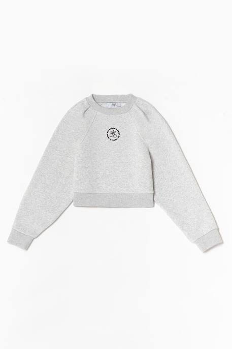 Sweat-shirt cobygi Ash grey mel 1 - vertbaudet enfant 