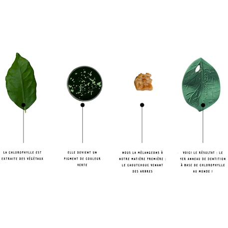 Feuille de chlorophylle jouet de dentition Vert 3 - vertbaudet enfant 