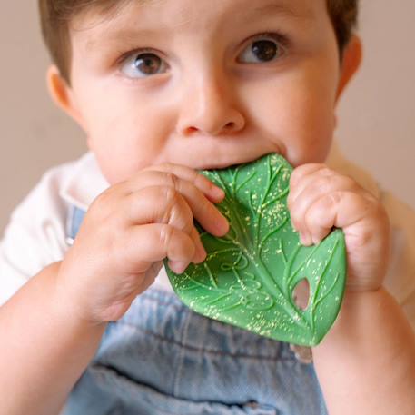 Feuille de chlorophylle jouet de dentition Vert 6 - vertbaudet enfant 