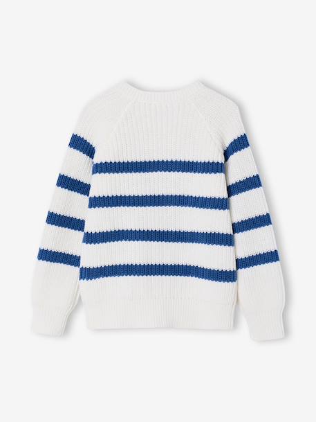 Pull garçon rayé bleu moyen+caramel+écru+encre+vert sauge 2 - vertbaudet enfant 
