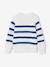 Pull garçon rayé bleu moyen+caramel+écru+encre+vert sauge 2 - vertbaudet enfant 