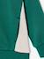 Sweat zippé garçon capuche coloblock bleu moyen+ocre+vert 11 - vertbaudet enfant 