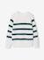 Pull garçon rayé bleu moyen+caramel+écru+encre+vert sauge 16 - vertbaudet enfant 