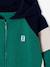 Sweat zippé garçon capuche coloblock bleu moyen+ocre+vert 10 - vertbaudet enfant 