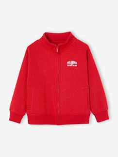 -Sweat zippé garçon col camionneur