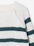 Pull garçon rayé bleu moyen+caramel+écru+encre+vert sauge 18 - vertbaudet enfant 