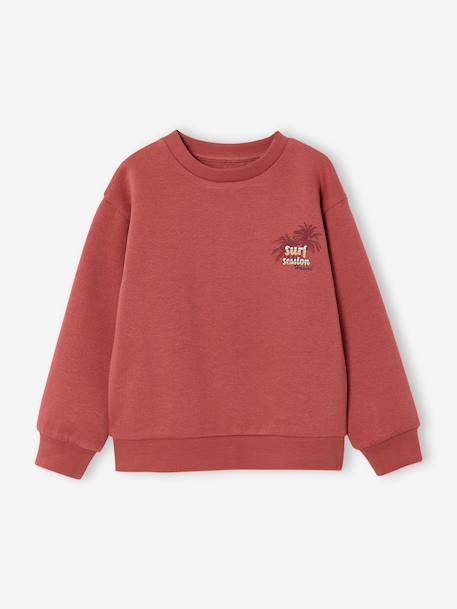 Sweat col rond garçon manches lo bois de rose+jaune pastel 2 - vertbaudet enfant 
