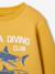 Sweat garçon fantaisie blanc chiné+bleu pâle+ocre+vert 9 - vertbaudet enfant 