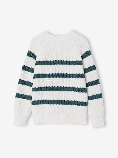 Pull garçon rayé bleu moyen+caramel+écru+encre+vert sauge 17 - vertbaudet enfant 