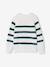 Pull garçon rayé bleu moyen+caramel+écru+encre+vert sauge 17 - vertbaudet enfant 
