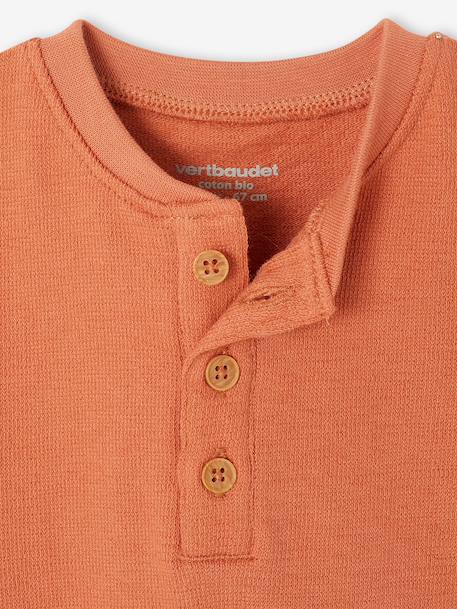 T-shirt bébé garçon coton bio noisette 2 - vertbaudet enfant 